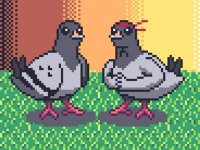 Pigeon Ascent Online Pet Care Game