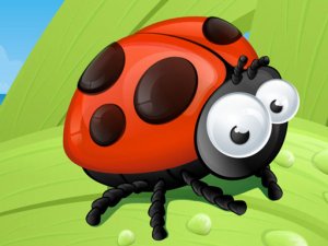 Ladybug Slide Puzzle Game