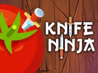 Knife Shadow Ninja Fruit Cutting Arcade Game