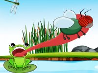 Hungry Frog Online Game Arcade Game
