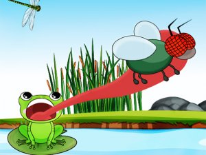 Hungry Frog Online Game Arcade Game