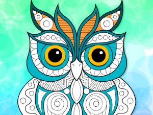 Zentangle Coloring Puzzle Game
