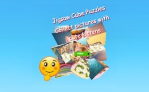 Cat Cube Photo Puzzle