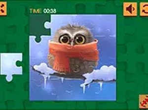 Owl Image Assembly