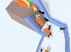 Trail Builder Ant Puzzle