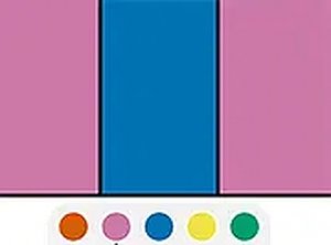 Region Coloring Logic Challenge